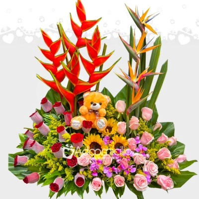 DISEÑO JARDIN No 9