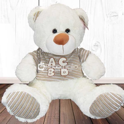 Peluches a domicilio en Cali Oso Ternura pequeño Pedido Con Un Día De Anticipación