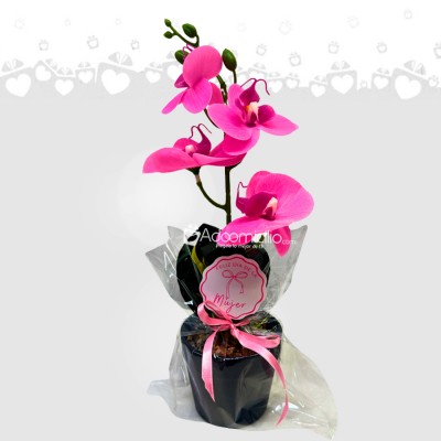 Orquídea Artificial Para El Día De La Mujer A Domicilio En Cali Pedido Con Un Día De Anticipación 