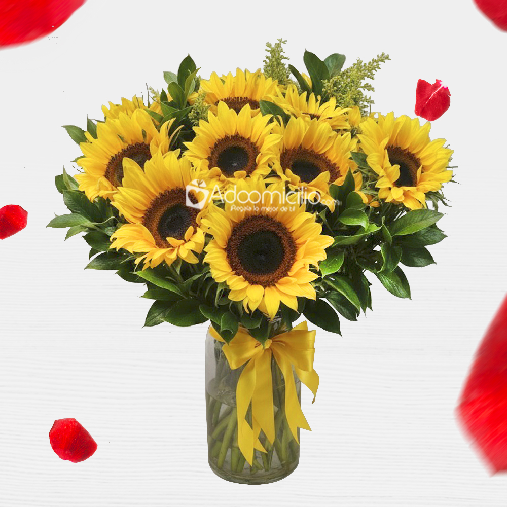 Florero Con Girasoles Para San Valentín A Domicilio En Medellín 
