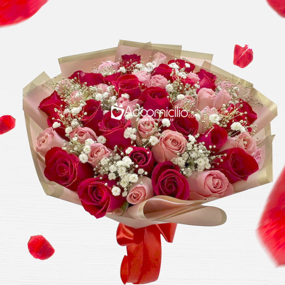 Rosas Rojas Y Rosadas Para San Valentín A Domicilio En Cali 