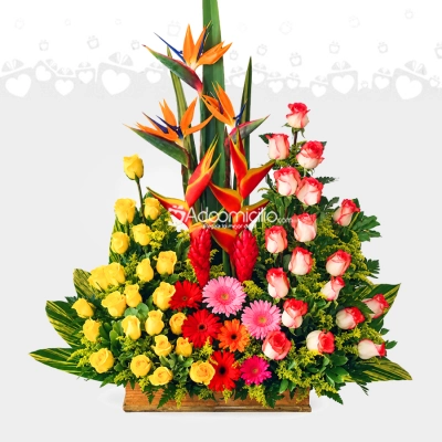 Arreglo Floral Con Flores Exóticas A Domicilio En Cali 