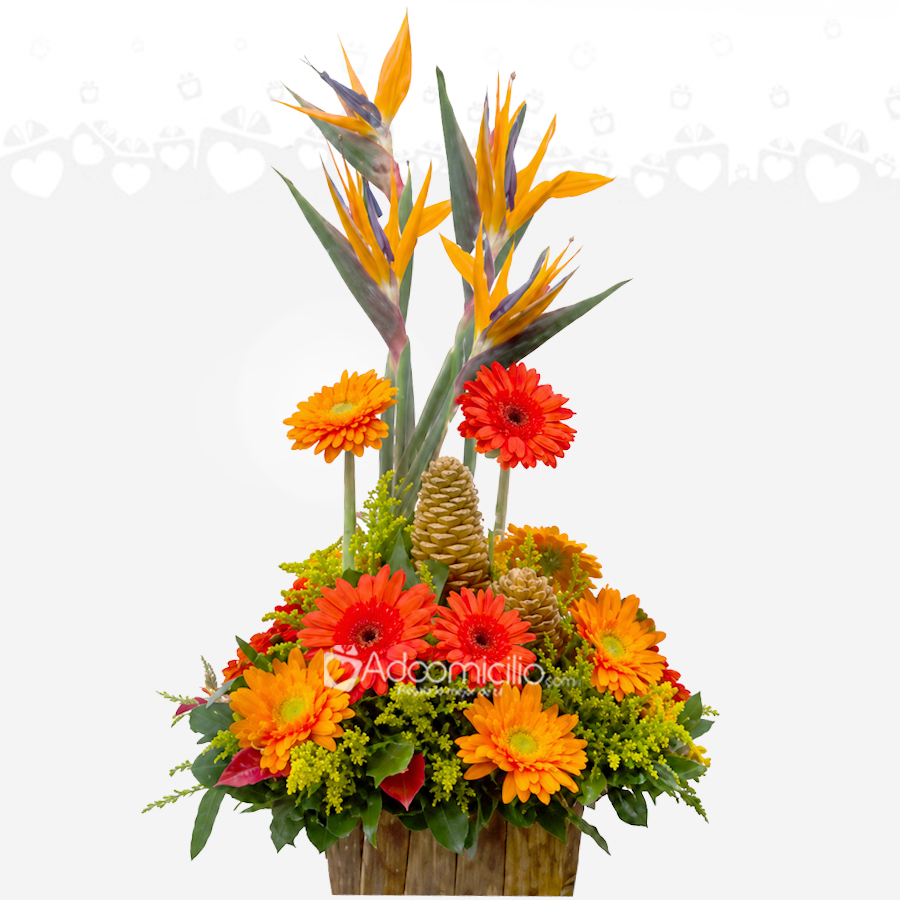 Arreglo Floral Exótico Con Gerberas A Domicilio En Cali 