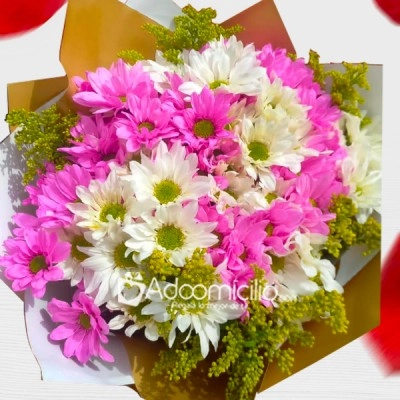 Bouquet De Margaritas Para Amor Y Amistad A Domicilio En Cali 
