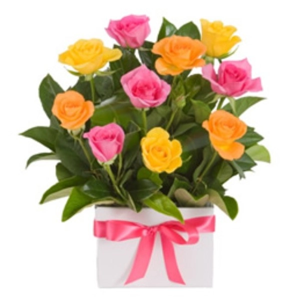 Rosas de Colores