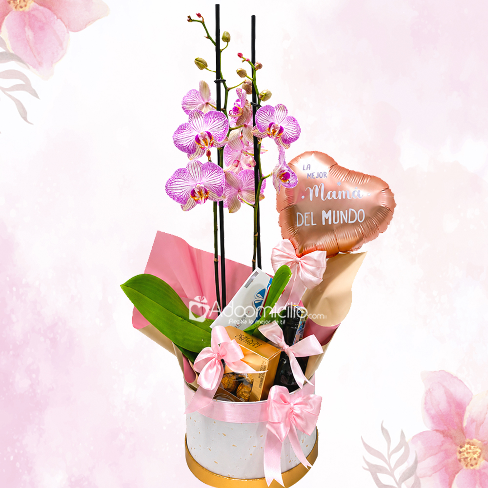 Regalo Para Mamá Con Orquídea Y Vino A Domicilio En Cali Pedido Con Un Día De Anticipación 