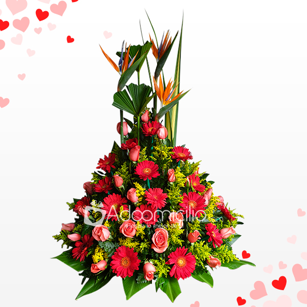 Arreglos Florales Para San Valentin A Domicilio En Manizales Hermosas Gerberas Y Rosas