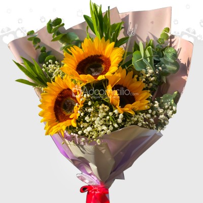 Bouquet De Girasoles Para Amor Y Amistad A Domicilio En Pereira 