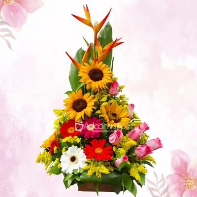 Gerberas Y Rosas Para Mamá A Domicilio En Pereira Pedido Con Un Día De Anticipación