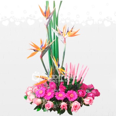 Flores Encantadoras Aves Del Paraiso Con Rosas Y Gerberas Para El Dia De La Madre A Domicilio En Pereira