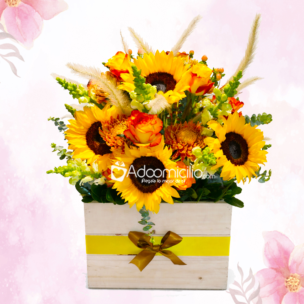 Girasoles Para El Día De La Madre A Domicilio En Bogotá Pedido Con Un Día De Anticipación