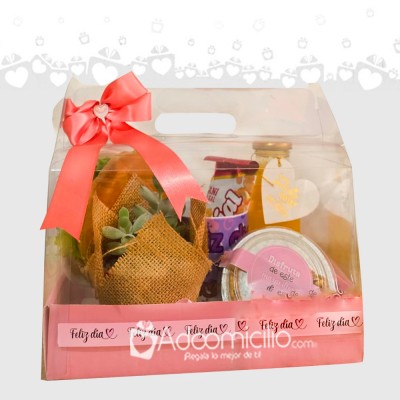 Desayuno Sorpresa Con Suculenta Para El Día De La Mujer A Domicililo En Manizales Pedido Con Un Día De Anticipación 