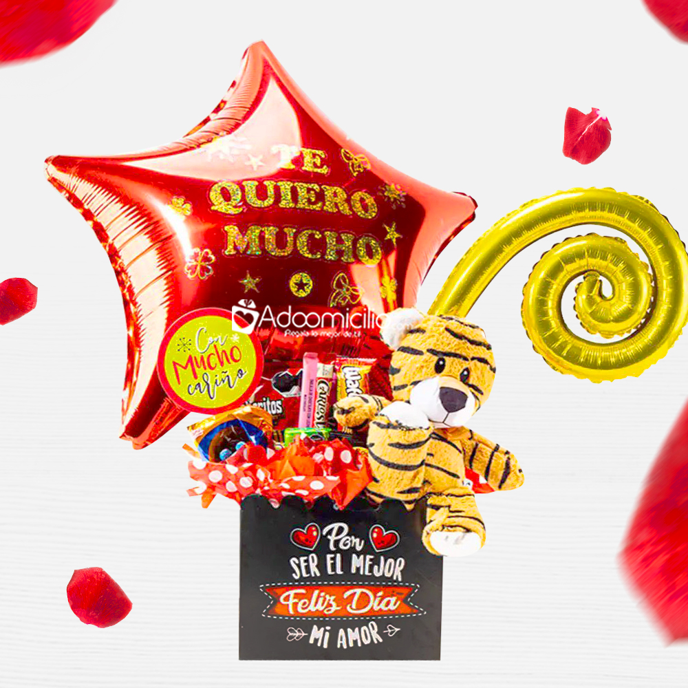 Regalo Con Peluche Para San Valentín A Domicilio En CDMX Pedido Con Un Día De Anticipación 