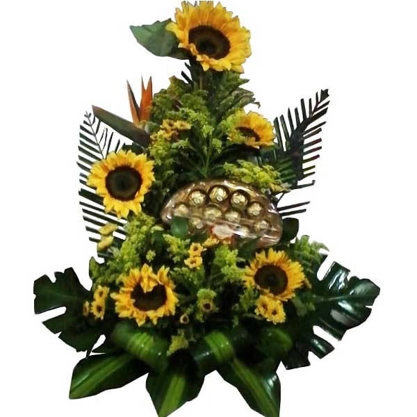 5 Girasoles y Chocolates 